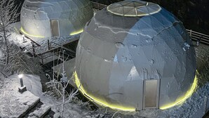 Two dome-shaped structures with illuminated interiors, surrounded by snow and trees. - GLAMPING CLUB (Manali)