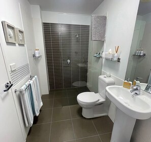Shower, hair dryer, towels, soap