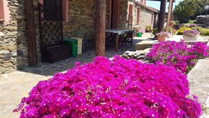 A stone building with a table and chairs outside, surrounded by vibrant pink flowers.