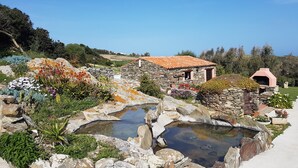 A stone house with a tiled roof, surrounded by a garden with various plants and a small pond.