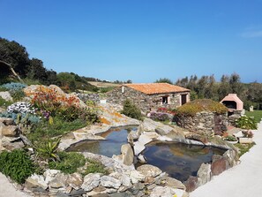 Property grounds - La Chintana A charming villa with pool (Sardegna)