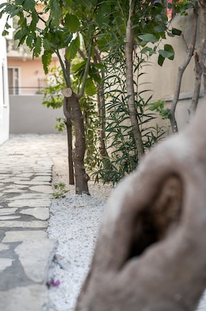 Terraço/pátio