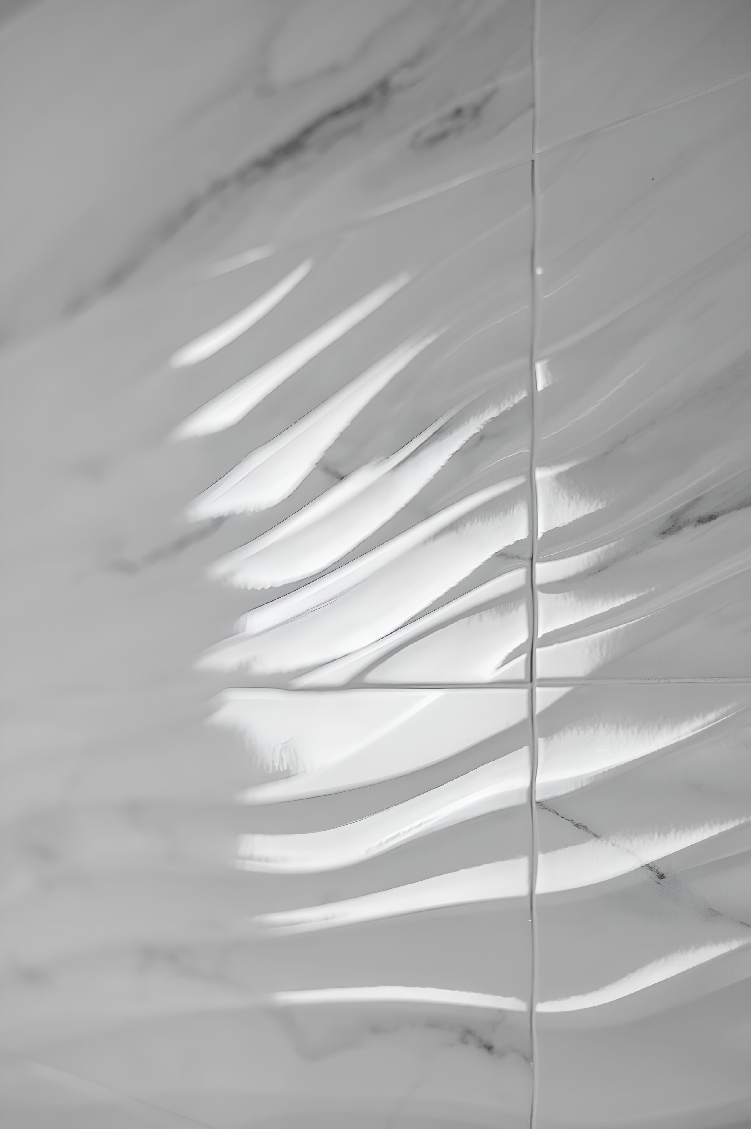 A close-up of a white, feather-like structure with a central vertical line.