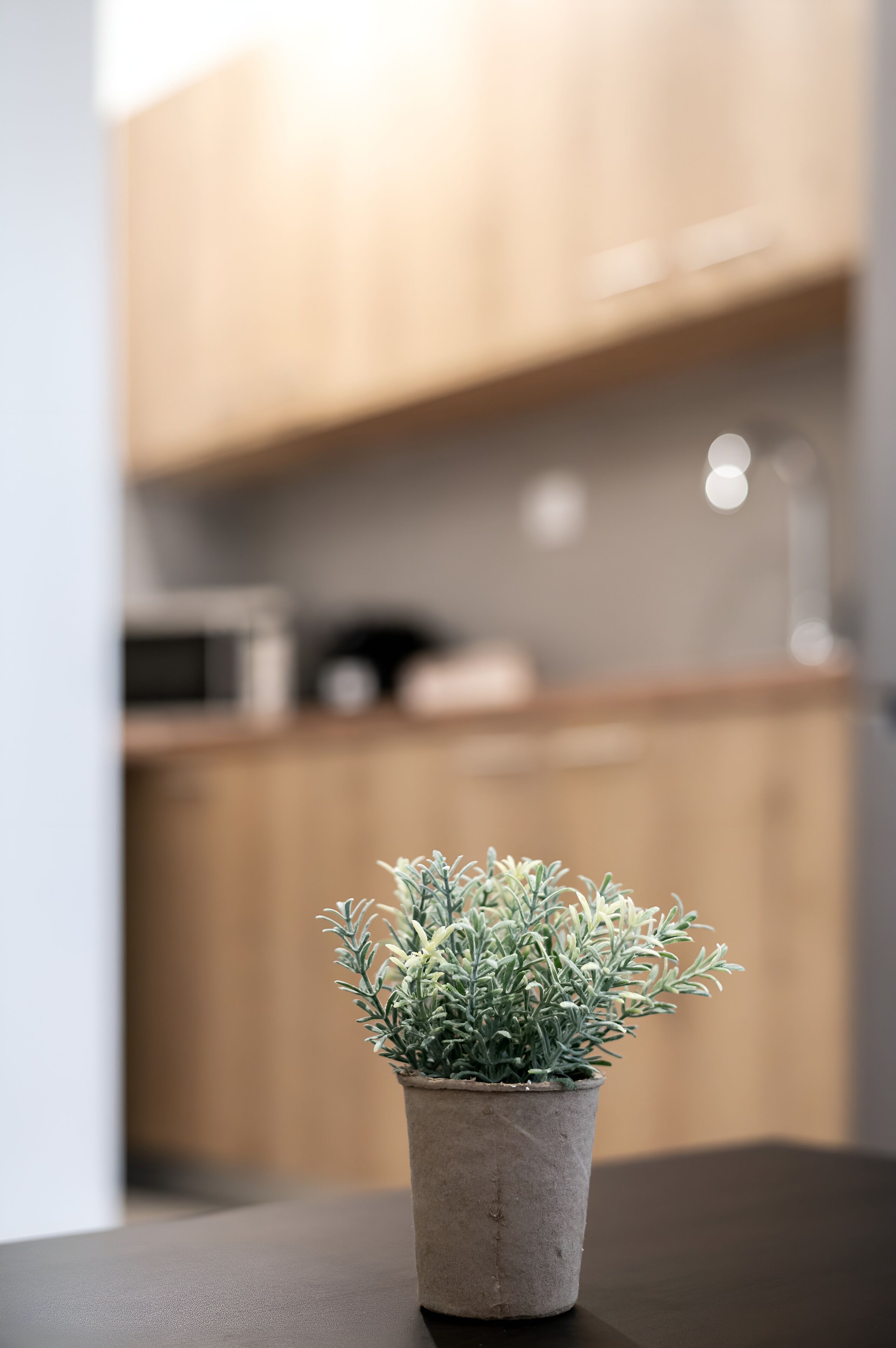 Junior-Suite | Wohnbereich