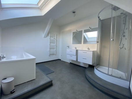 シャワー、ヘアドライヤー. Apartment Alsace Haut-Rhin