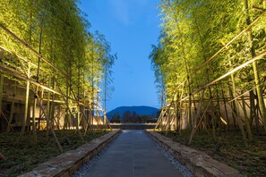 Terraza en la azotea
