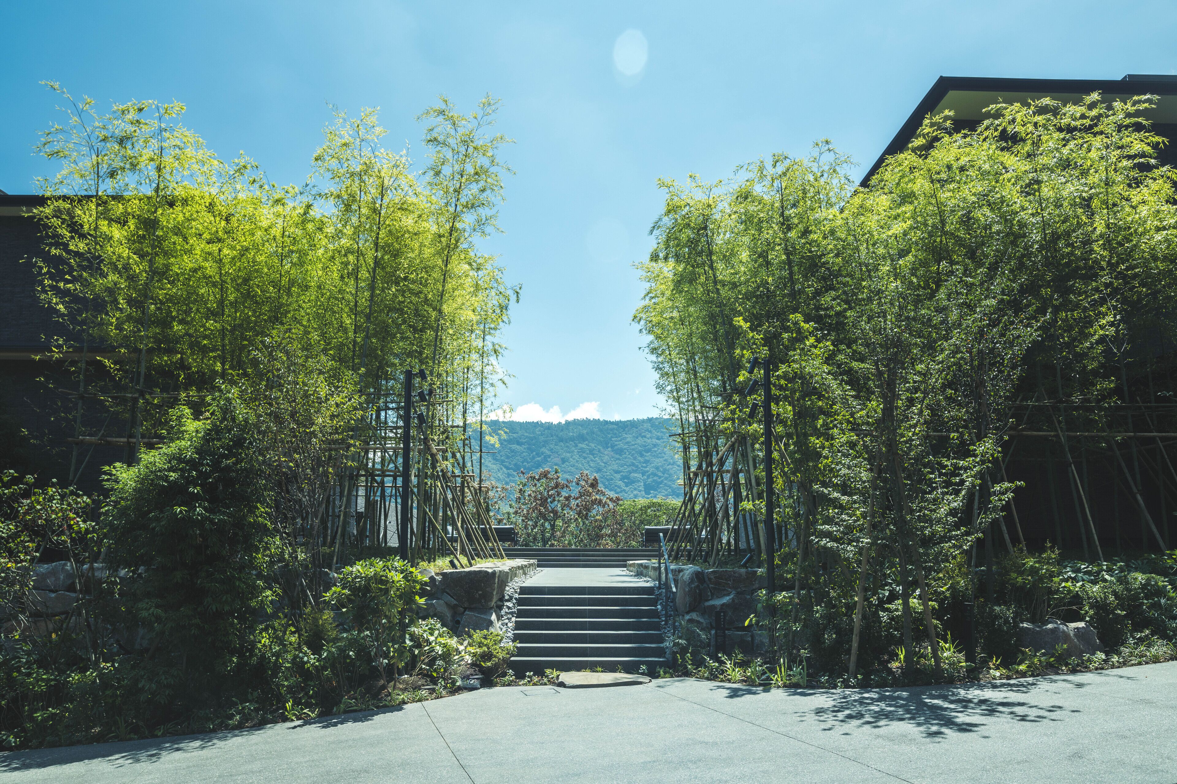 Takterrasse