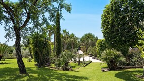 Un jardin bien entretenu, avec différents types d’arbres et un ciel dégagé.