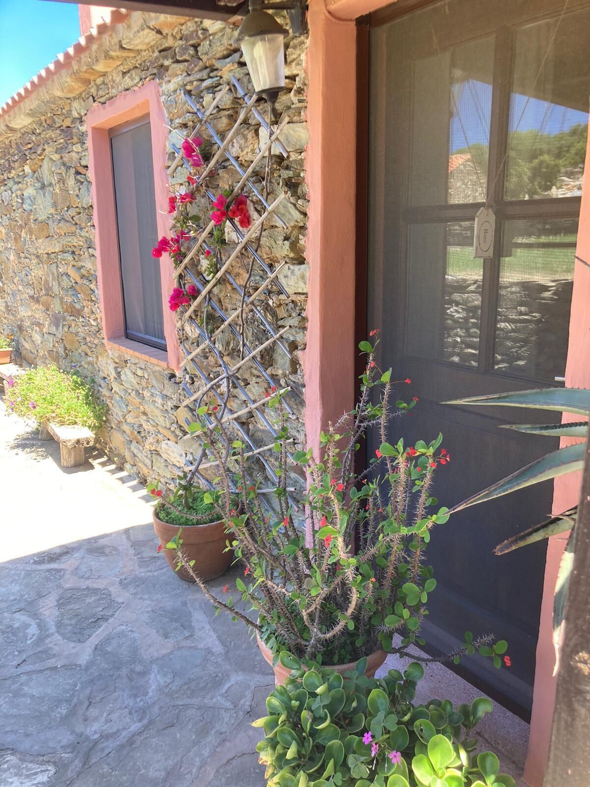 A stone building with a window and a door, potted plants, and a metal trellis with flowers.