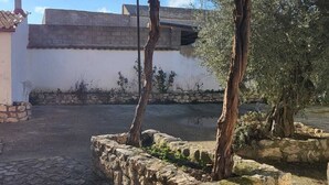 Un cortile lastricato in pietra con un pergolato, ulivi e un muro di pietra.
