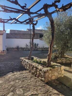 المنطقة المحيطة بالمنشأة