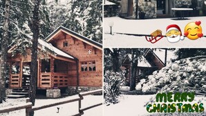 A wooden cabin with a porch, surrounded by snow-covered trees. - CHALET L'ADRET (Bluffy)