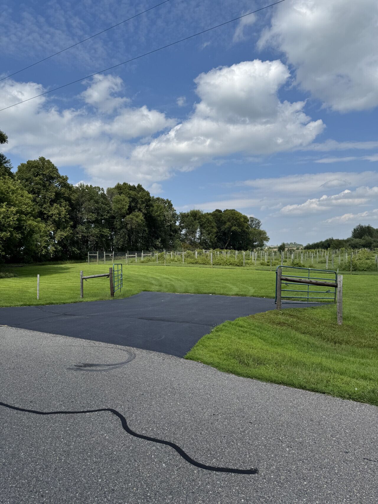 A paved area with a metal gate, surrounded by green grass and trees.