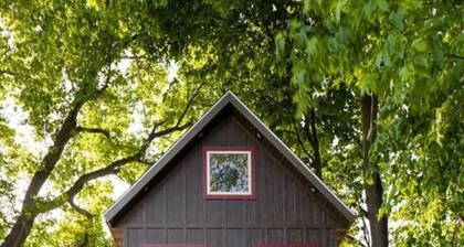 Marion Lake Tree House
