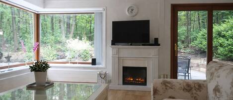 Télévision, cheminée, lecteur de DVD