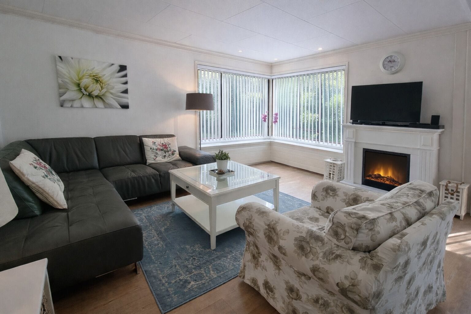 Tv, pejs, dvd-afspiller