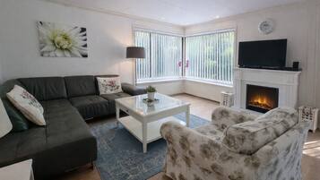 Télévision, cheminée, lecteur de DVD