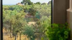A window with a view of a green landscape, a potted plant, and a door handle. - Kannas Mani-Luxury Suites- Adults friendly 14+ (West Mani)
