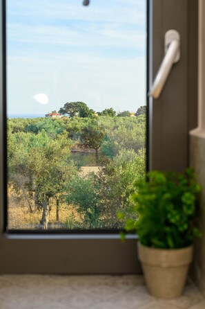 ラグジュアリー スイート (Catherine, First Floor) | エジプト綿のシーツ、高級寝具、セーフティボックス (室内)、デスク