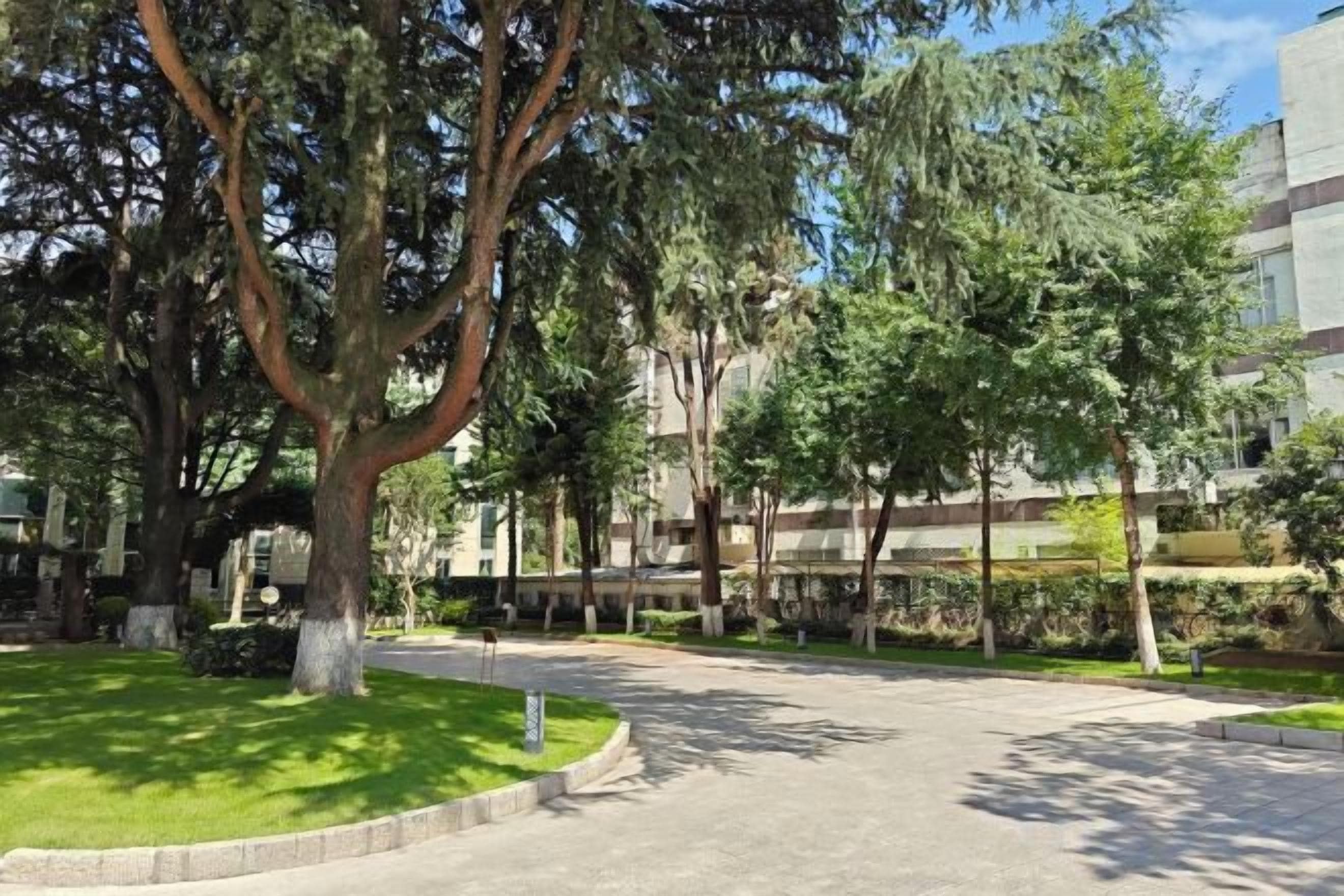 A courtyard with trees and a paved walkway.