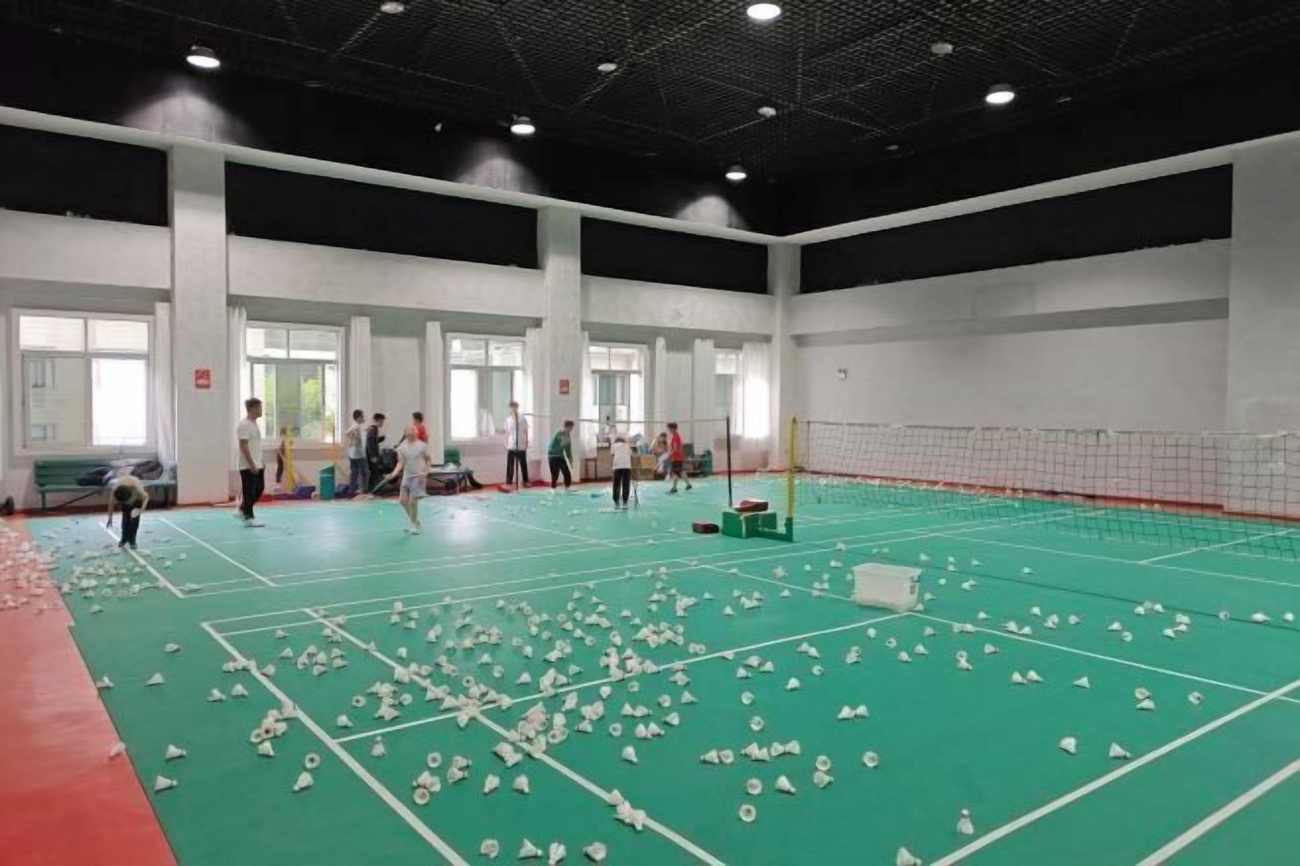 Sports court