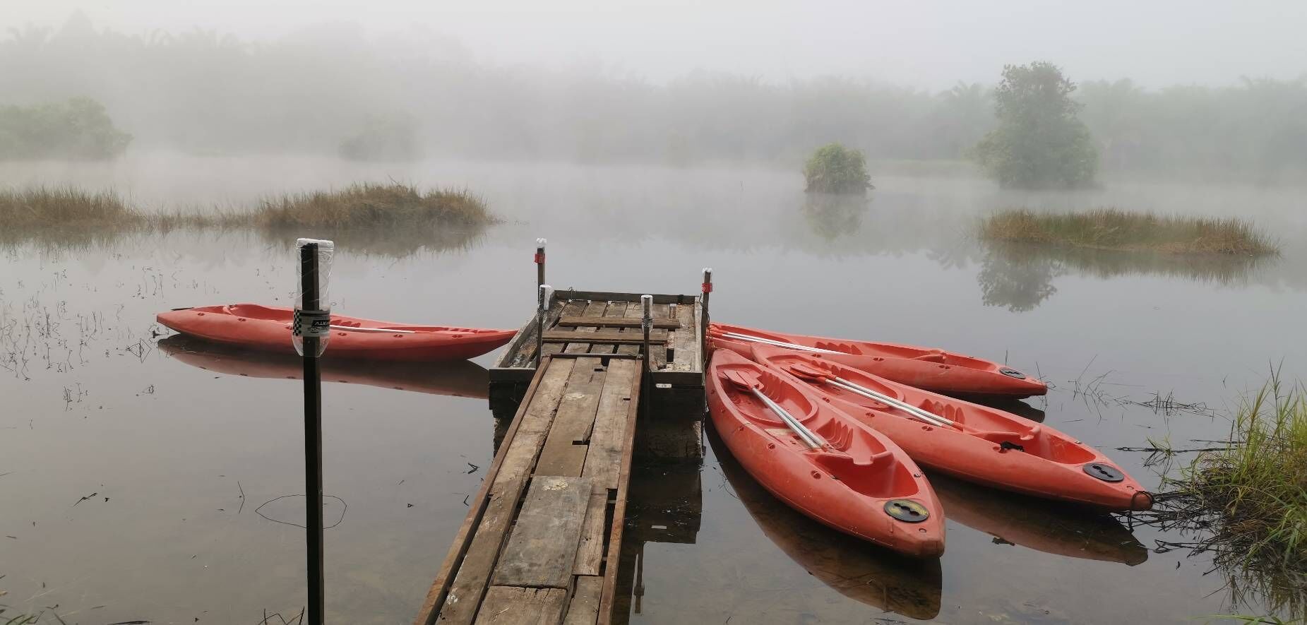A wooden dock with kayaks docked on it, surrounded by calm water and foggy vegetation.