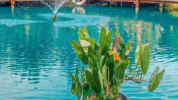 A pool area with two wooden structures, a water fountain, and a potted plant. - Plaiphu Pool Villas (Kapong)