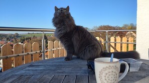 المنطقة المحيطة بالمنشأة