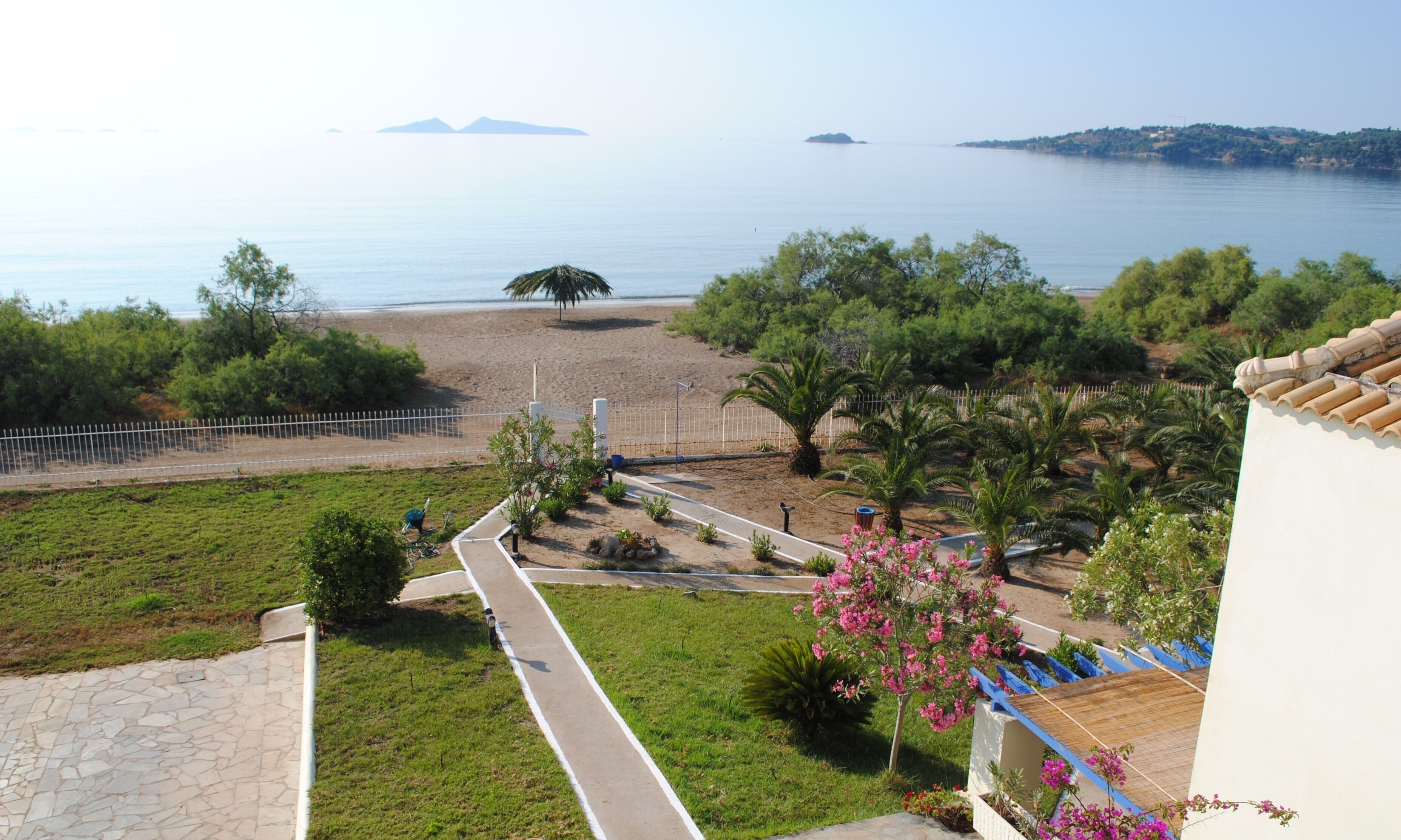 A coastal view with a beach, palm trees, and a clear sky.