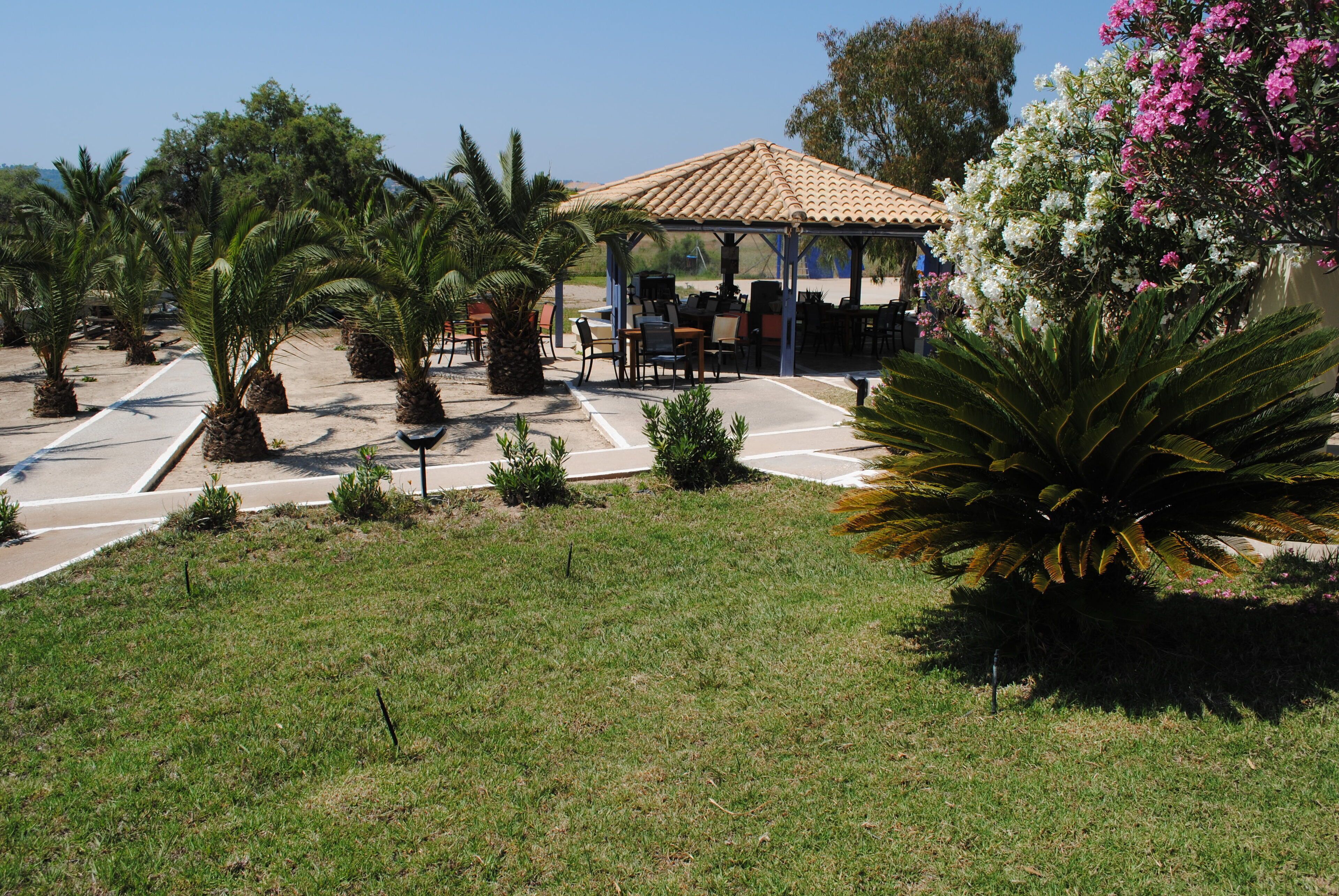 A covered outdoor seating area with tables and chairs, surrounded by palm trees and a large fern plant.