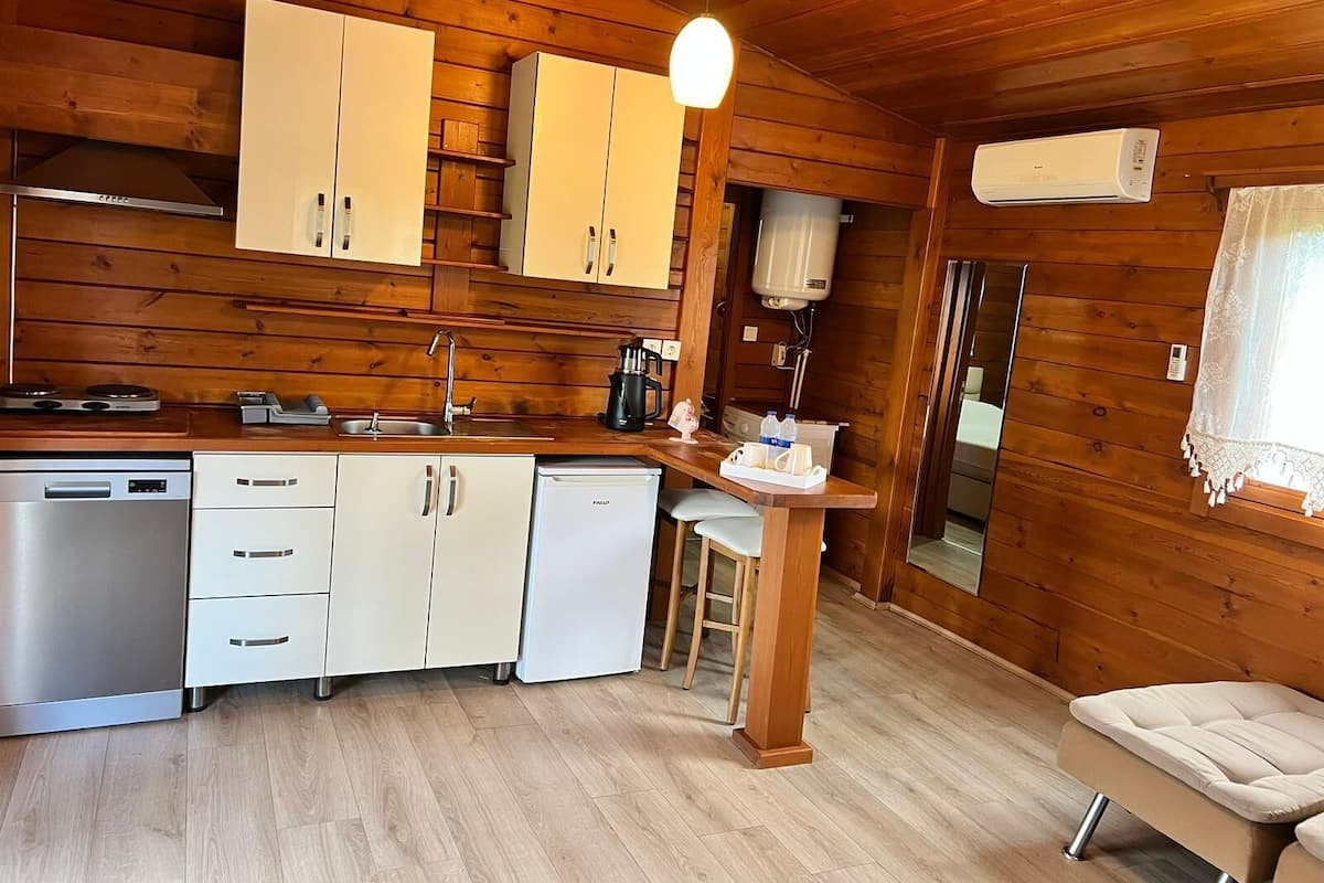 1+1 with Kitchen | Private kitchen | Mini-fridge, stovetop, dishwasher, electric kettle