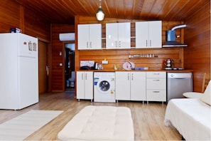 2+1 with Kitchen | Private kitchen | Mini-fridge, stovetop, dishwasher, electric kettle