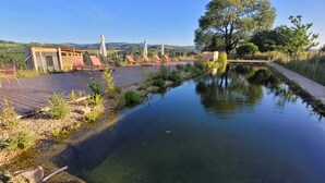 Uma área de piscina tranquila ao ar livre, com espreguiçadeiras e um deck de madeira.