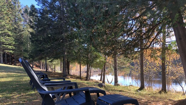 Una hilera de sillas reclinables negras y una pequeña mesa al borde de un lago, en un área boscosa.