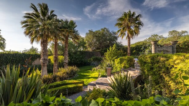 Un jardín bien cuidado con palmeras, un sendero de piedra y abundante vegetación.