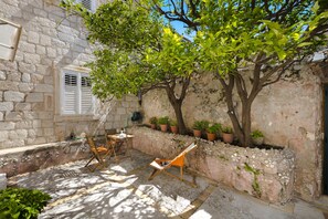 Terras
