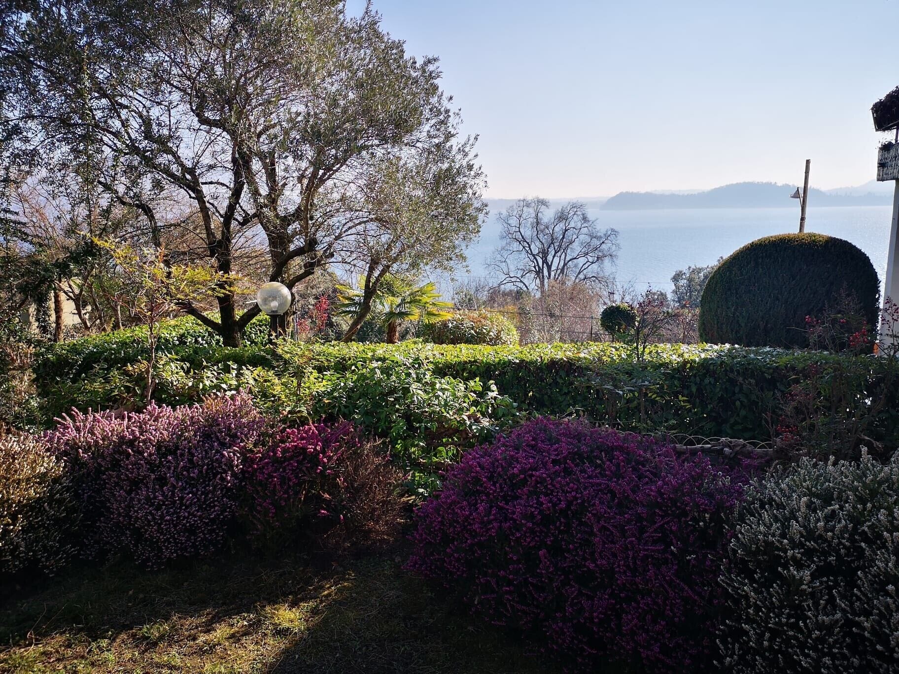 Parco della struttura