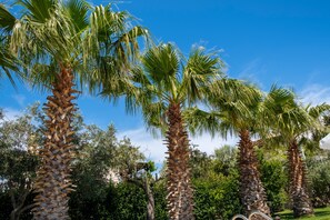 Overnattingsstedets uteområder