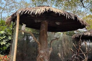 A bird perched on a tree branch under a thatched roof structure. - Hongyi Boutique Hotel (Shanghai)