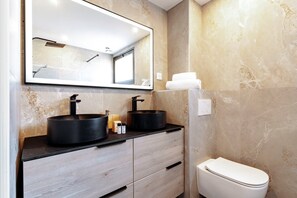 Bathroom features two vessel sinks, a large mirror, and a toilet.