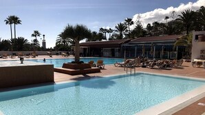 Ein Pool mit Liegestühlen und Palmen.