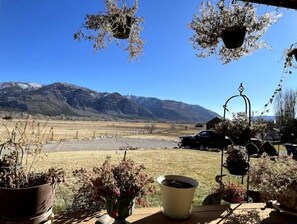 Property grounds - Beautiful 3 Bed/3Bath House (Houston,)