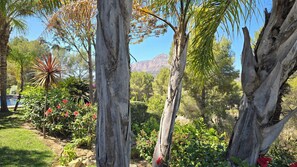 Terrain de l’hébergement 