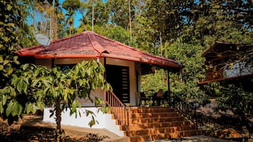 Quadruple Room | Pemandangan dari bilik