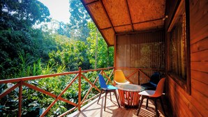 An outdoor wooden deck with a table and chairs, surrounded by lush greenery. - Tapasya Home (Virajpet)