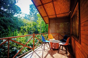Vista desde la habitación