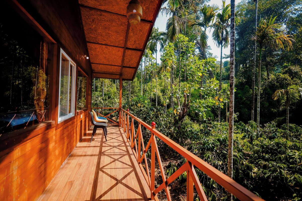 Un terrazza in legno con ringhiera che si affaccia su una fitta foresta.