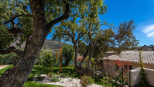 A well-maintained garden with a large tree, a small building with a tiled roof, and a clear blue sky. - Gazanias by Interhome (Bormes-les-Mimosas)