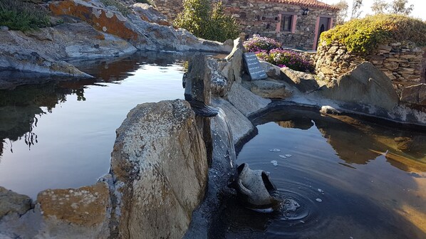 Imagen sin descripción, 1 de 26, botón