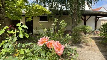 Detall de l'exterior